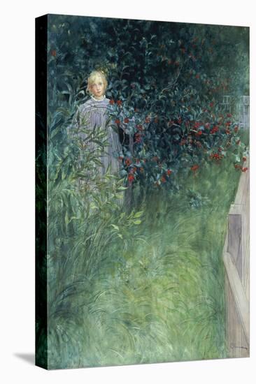 In the Hawthorn Hedge-Carl Larsson-Stretched Canvas