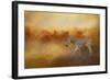 In the Heat of the Summer-Jai Johnson-Framed Giclee Print