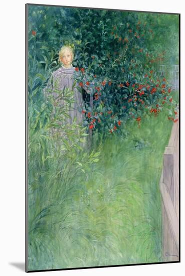 In the Holly Hedge-Carl Larsson-Mounted Giclee Print