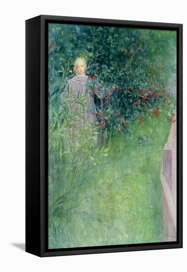 In the Holly Hedge-Carl Larsson-Framed Stretched Canvas