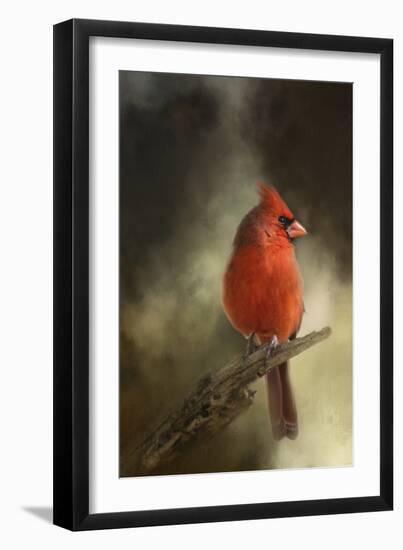 In the January Sun-Jai Johnson-Framed Giclee Print