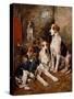 In the Kennel (Oil on Canvas)-John Emms-Stretched Canvas