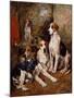 In the Kennel (Oil on Canvas)-John Emms-Mounted Giclee Print