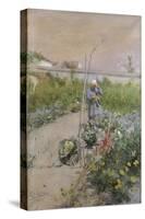 In the Kitchen Garden, 1883-Carl Larsson-Stretched Canvas