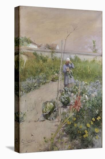 In the Kitchen Garden, 1883-Carl Larsson-Stretched Canvas