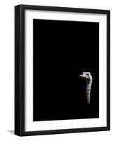 In the Know-Doug Chinnery-Framed Photographic Print