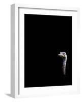 In the Know-Doug Chinnery-Framed Photographic Print
