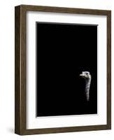 In the Know-Doug Chinnery-Framed Photographic Print