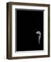 In the Know-Doug Chinnery-Framed Photographic Print