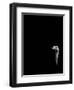 In the Know-Doug Chinnery-Framed Photographic Print