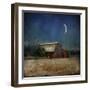 In the Land of Cotton-Barbara Simmons-Framed Giclee Print