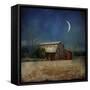 In the Land of Cotton-Barbara Simmons-Framed Stretched Canvas