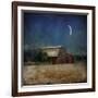 In the Land of Cotton-Barbara Simmons-Framed Giclee Print