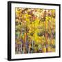 In the Light of Day-Jean Cauthen-Framed Art Print