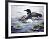 In the Lilies-Kevin Dodds-Framed Giclee Print