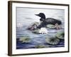 In the Lilies-Kevin Dodds-Framed Giclee Print