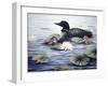 In the Lilies-Kevin Dodds-Framed Premium Giclee Print