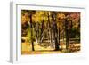 In the Meadow I-Alan Hausenflock-Framed Photographic Print