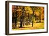 In the Meadow II-Alan Hausenflock-Framed Photographic Print