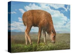 In the Meadow II-Chris Vest-Stretched Canvas