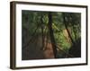 In the Middle of the Forest-Gustav Klimt-Framed Giclee Print