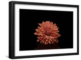 In the middle-Heidi Westum-Framed Photographic Print