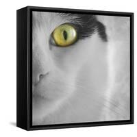 In the Minds Eye-Adrian Campfield-Framed Stretched Canvas