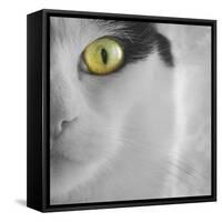 In the Minds Eye-Adrian Campfield-Framed Stretched Canvas