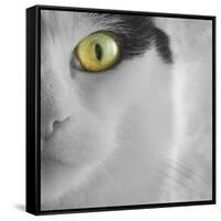 In the Minds Eye-Adrian Campfield-Framed Stretched Canvas