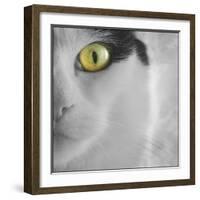 In the Minds Eye-Adrian Campfield-Framed Photographic Print