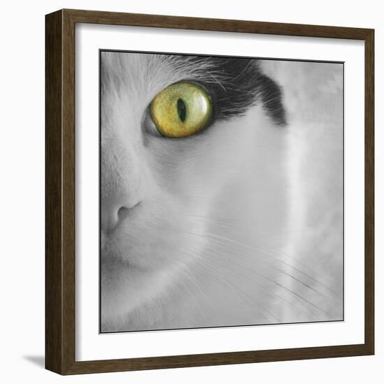 In the Minds Eye-Adrian Campfield-Framed Photographic Print