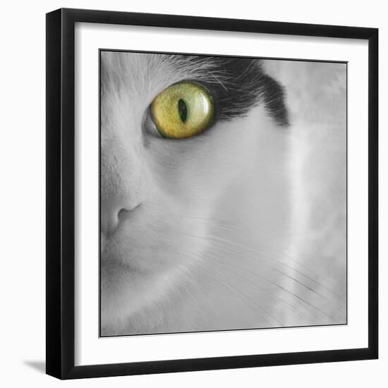 In the Minds Eye-Adrian Campfield-Framed Photographic Print