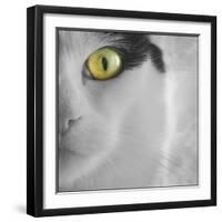 In the Minds Eye-Adrian Campfield-Framed Photographic Print