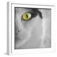 In the Minds Eye-Adrian Campfield-Framed Photographic Print