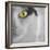 In the Minds Eye-Adrian Campfield-Framed Photographic Print