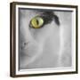 In the Minds Eye-Adrian Campfield-Framed Photographic Print