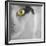 In the Minds Eye-Adrian Campfield-Framed Photographic Print