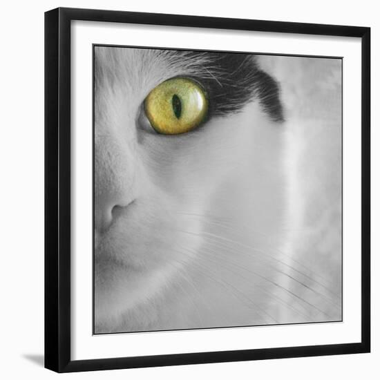 In the Minds Eye-Adrian Campfield-Framed Photographic Print