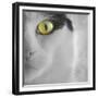 In the Minds Eye-Adrian Campfield-Framed Photographic Print