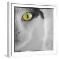 In the Minds Eye-Adrian Campfield-Framed Photographic Print