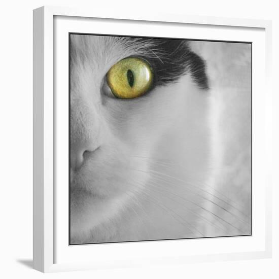 In the Minds Eye-Adrian Campfield-Framed Photographic Print