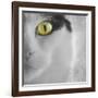 In the Minds Eye-Adrian Campfield-Framed Photographic Print