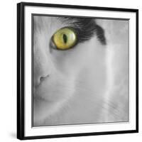 In the Minds Eye-Adrian Campfield-Framed Photographic Print