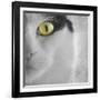 In the Minds Eye-Adrian Campfield-Framed Photographic Print