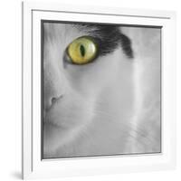 In the Minds Eye-Adrian Campfield-Framed Photographic Print