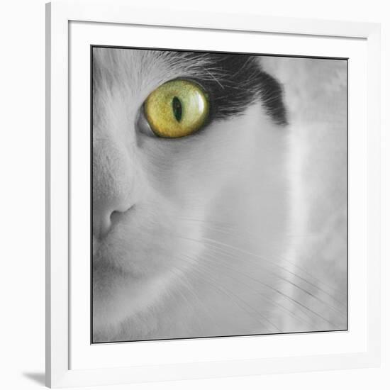 In the Minds Eye-Adrian Campfield-Framed Photographic Print