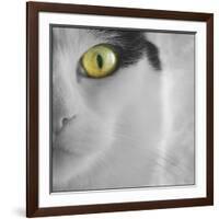 In the Minds Eye-Adrian Campfield-Framed Photographic Print