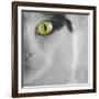 In the Minds Eye-Adrian Campfield-Framed Photographic Print