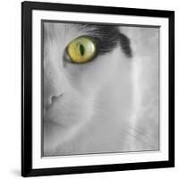 In the Minds Eye-Adrian Campfield-Framed Photographic Print