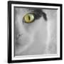 In the Minds Eye-Adrian Campfield-Framed Photographic Print